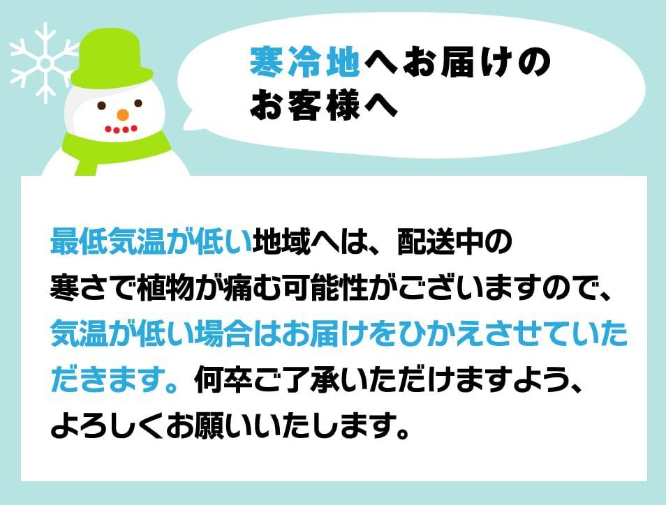 父の日