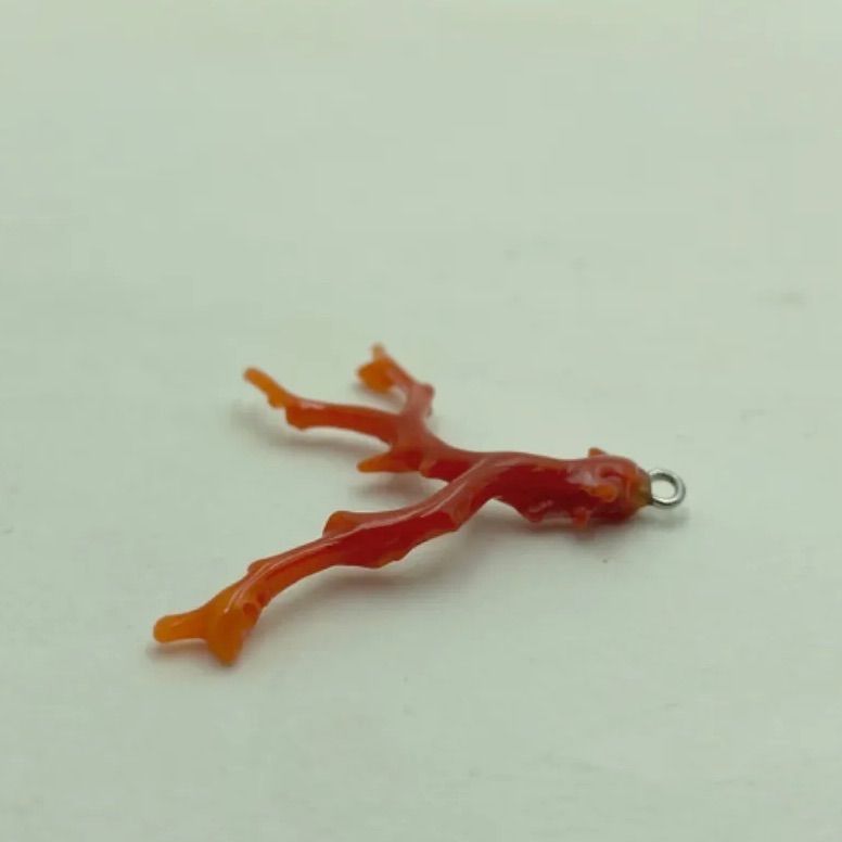 珊瑚パーツ 珊瑚パーツ 血赤珊瑚 パーツ ルース カラーグレード4.5〜 宝石珊瑚 無