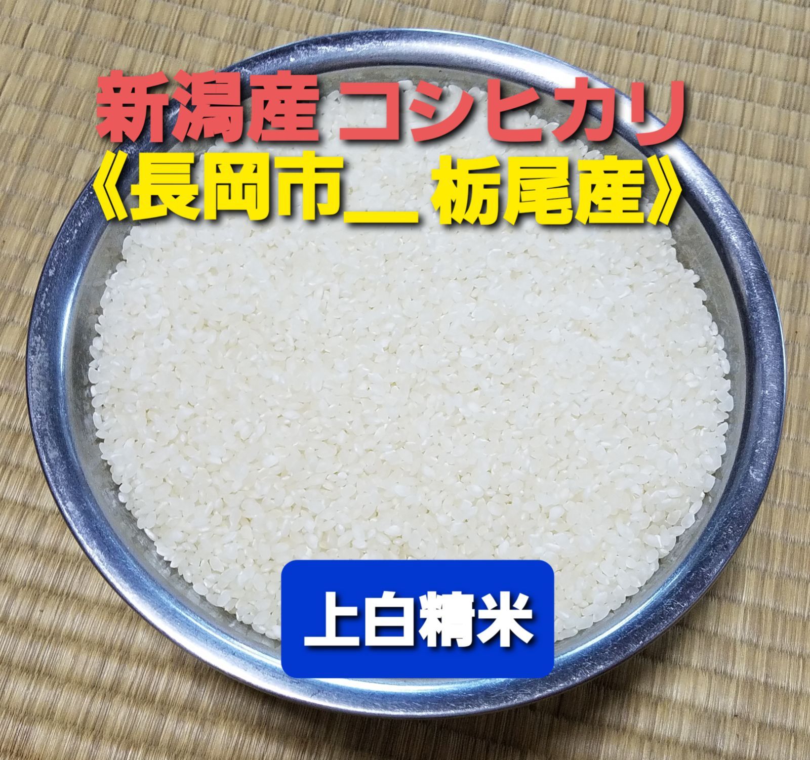 贈答用令和５年産 新潟コシヒカリ(長岡市_とちお産_希少)20㎏ お見舞い