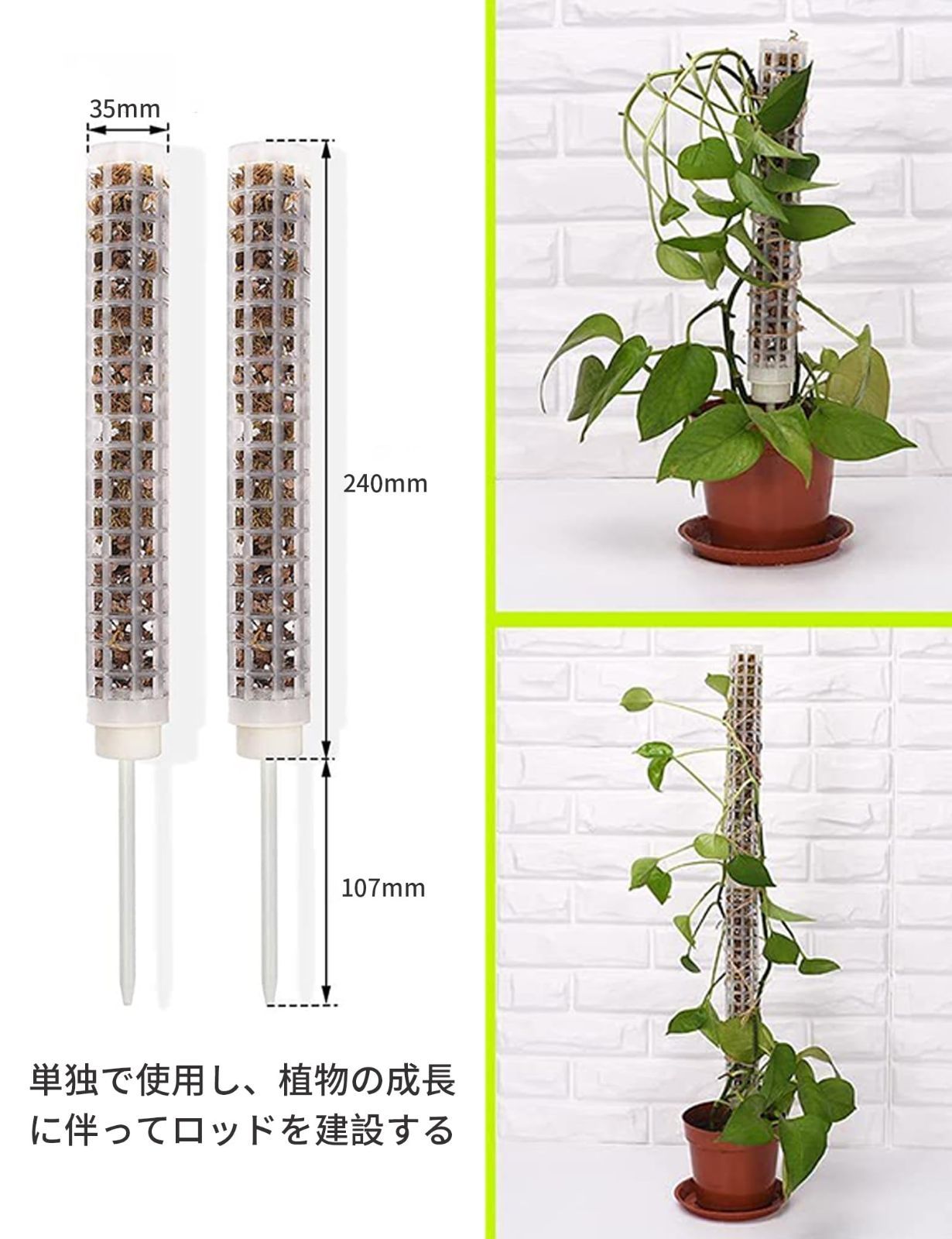 Amazon | FIDEMM 植物ステークス,柔軟なスパイラルガーデン植物