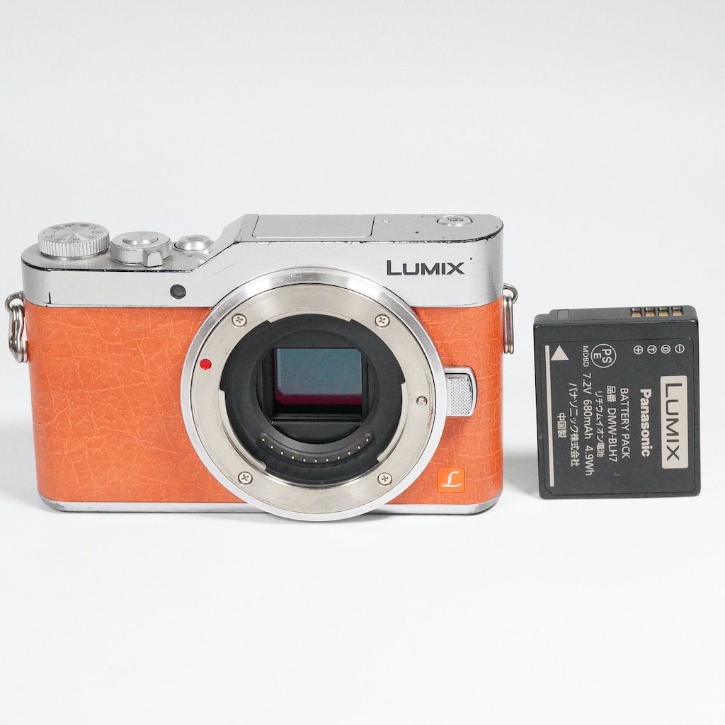Panasonic パナソニック LUMIX DC-GF9 ボディ ブラウン 動作OK 1週間 