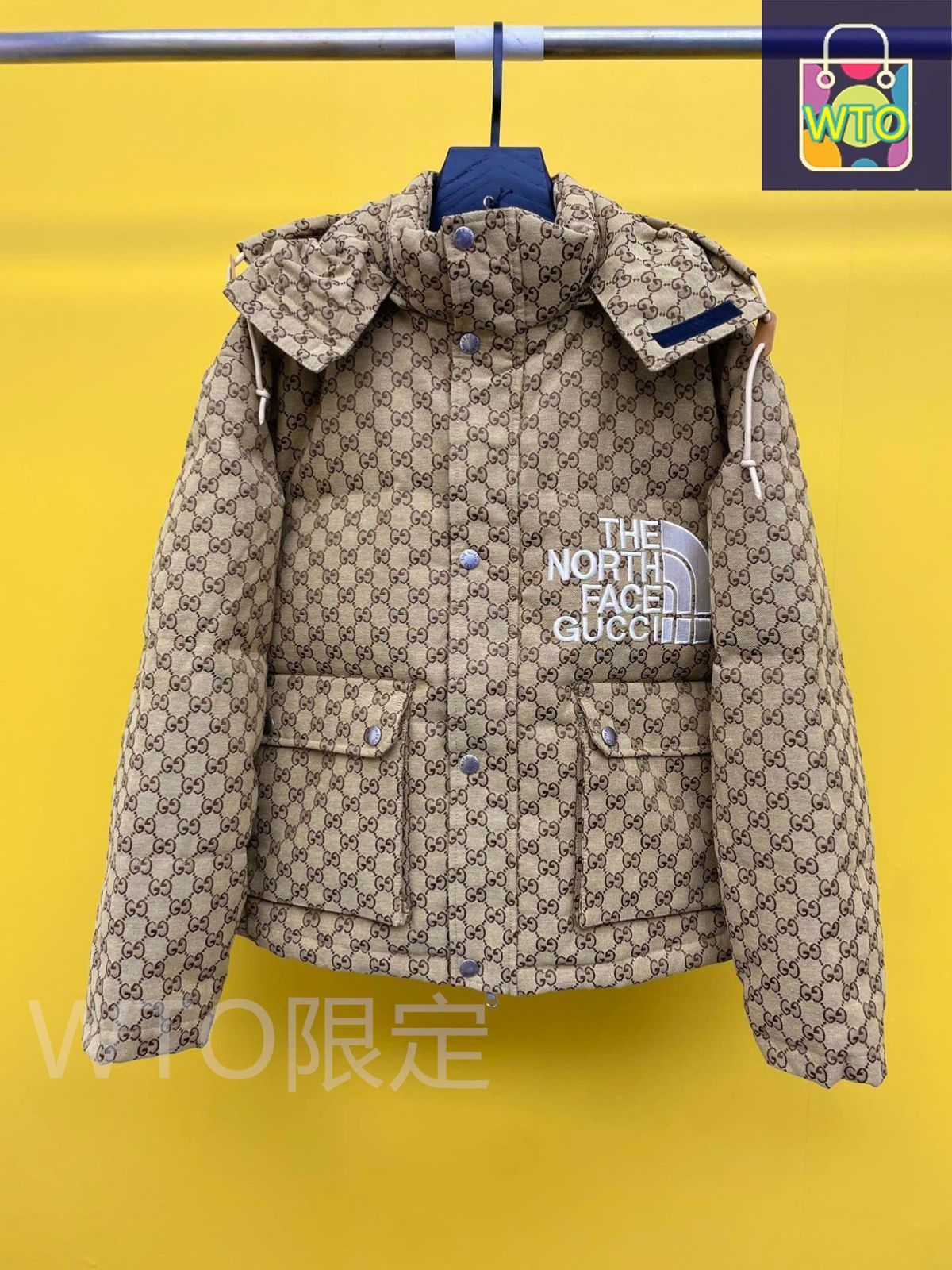 GUCCI×THENORTHFACEコラボ ダウンジャケット｜本日限定特価