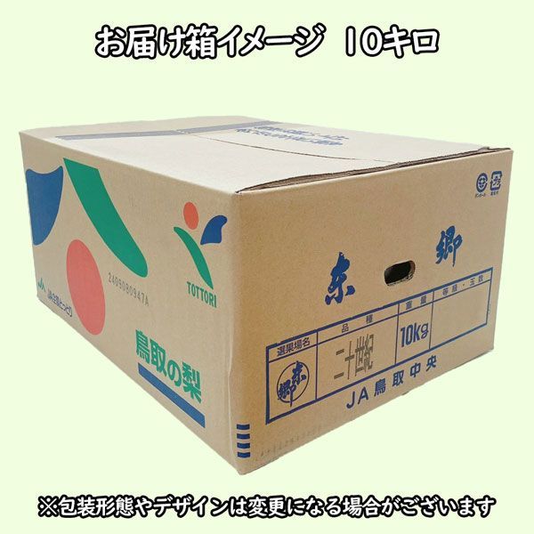 東郷