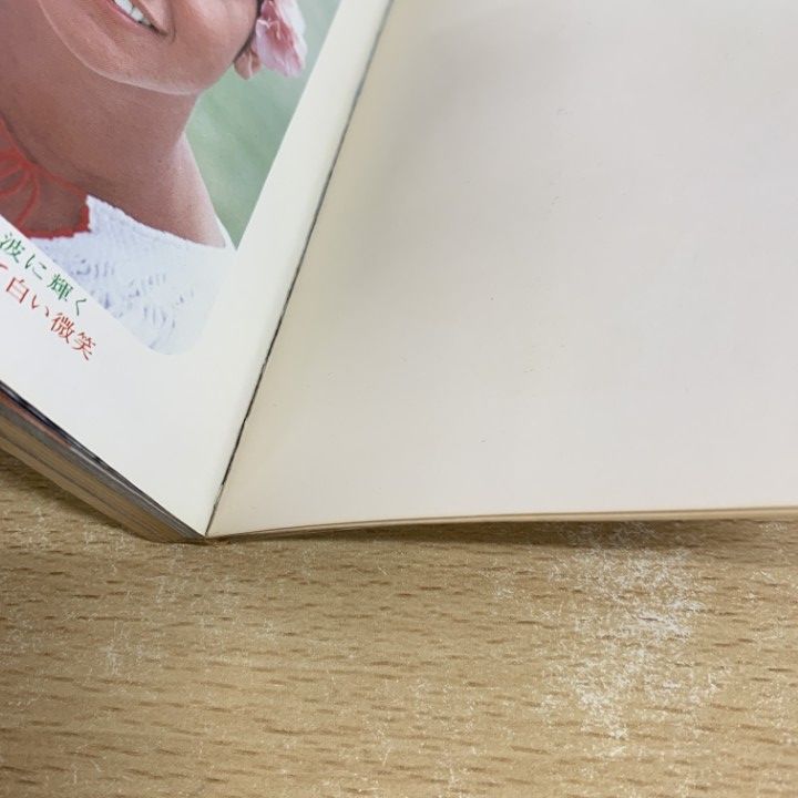 希少 アグネス・ラム ひとりぼっちのメルヘン 勁文社