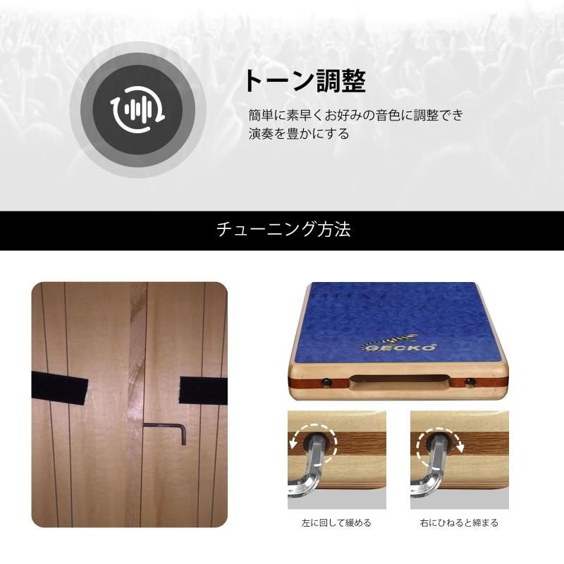 打楽器 ギターの弦共鳴