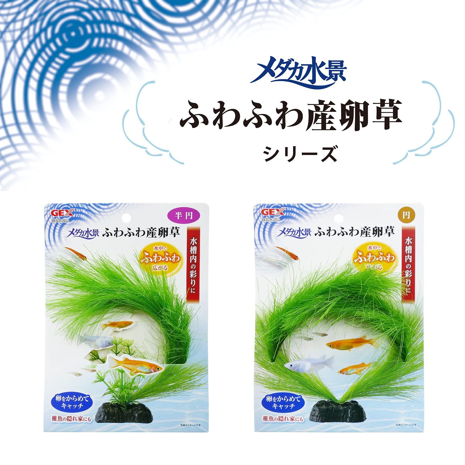 （まとめ）メダカ水景 メダカの産卵草 ホテイアオイ (観賞魚 水槽用品)