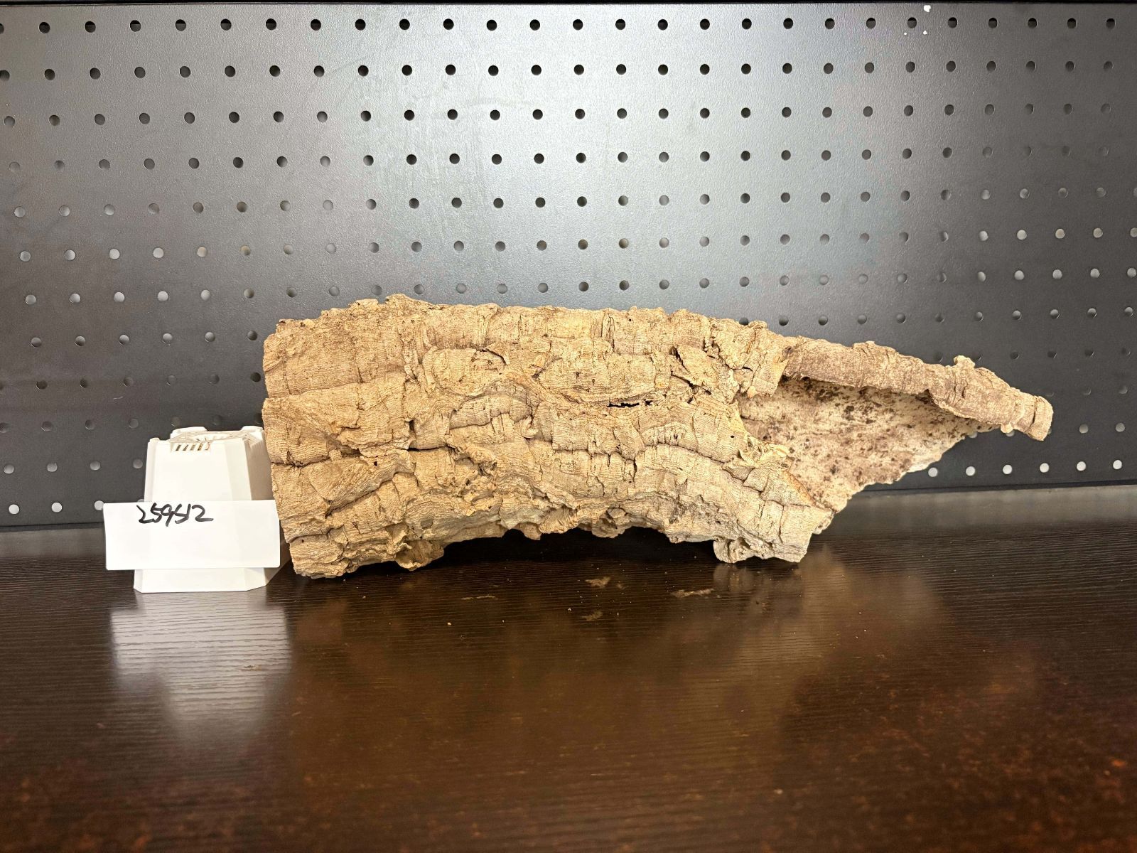 259S12 ポルトガル産 キャノンコルク コルク樹皮 コルク板 バージンコルク チランジア ビカクシダ 着生ラン 両生類 爬虫類 YUZUMIYA_COM