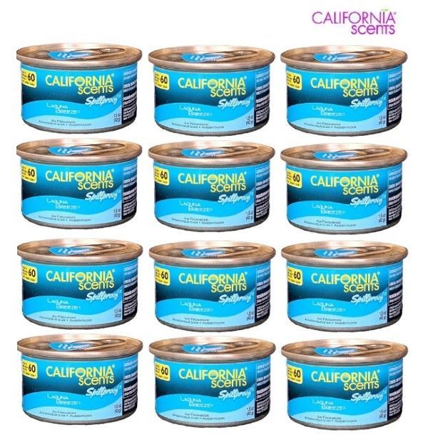 12缶セット 純正リッド1枚付き