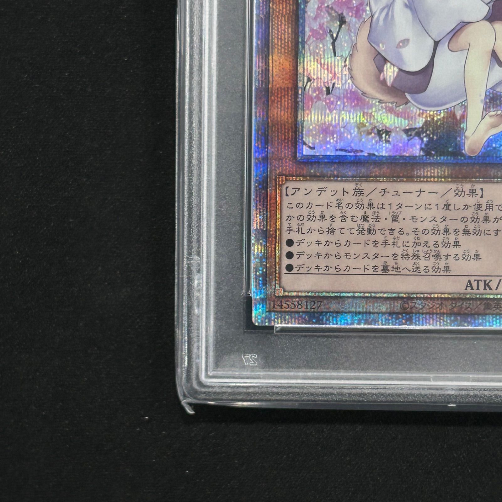 遊戯王 PSA10 灰流うらら 絵違い イラスト違い プリズマティック