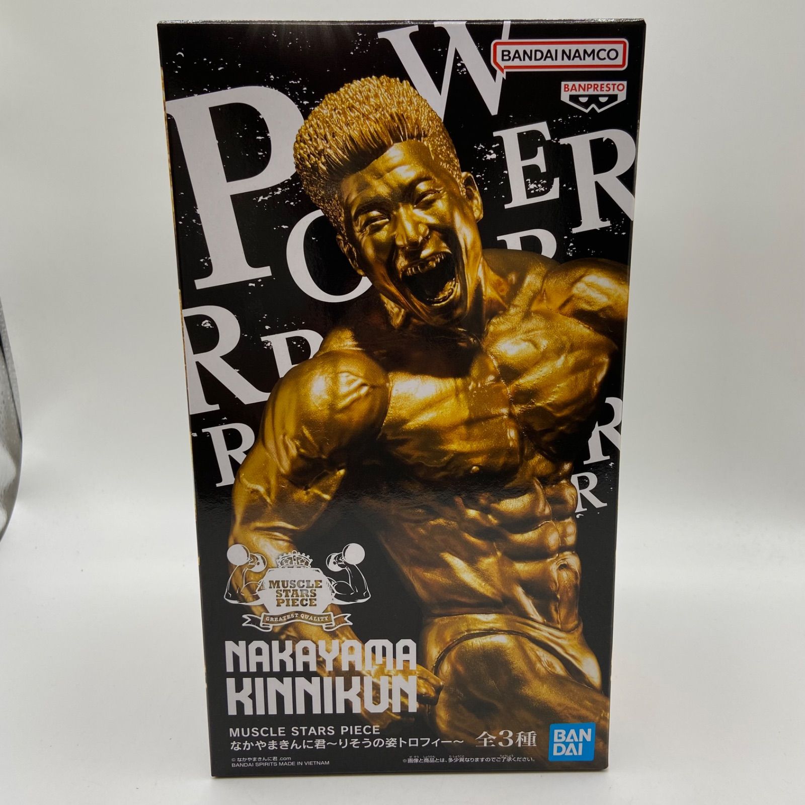 未開封 MUSCLE STARS PIECE なかやまきんに君 りそうの姿