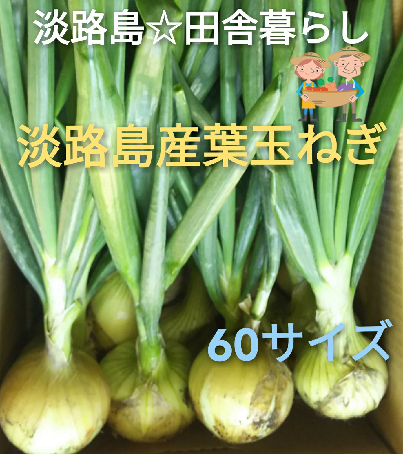 誕生日感謝＞淡路島産新玉ねぎ 5kg 高糖度 新 たまねぎ 新玉葱