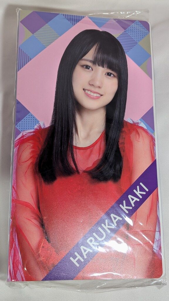 乃木坂46 - 賀喜遥香さん 個別フォトアルバム 2020年福袋Lucky Bag B 未開封 71as-GwQ5KL._UF350,350_QL50_.jpg