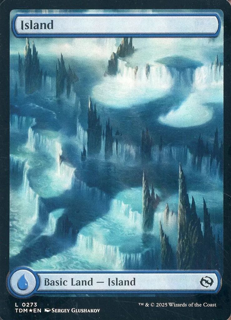 中古】マジックザギャザリング 0273[L]：【TDM】【FOIL