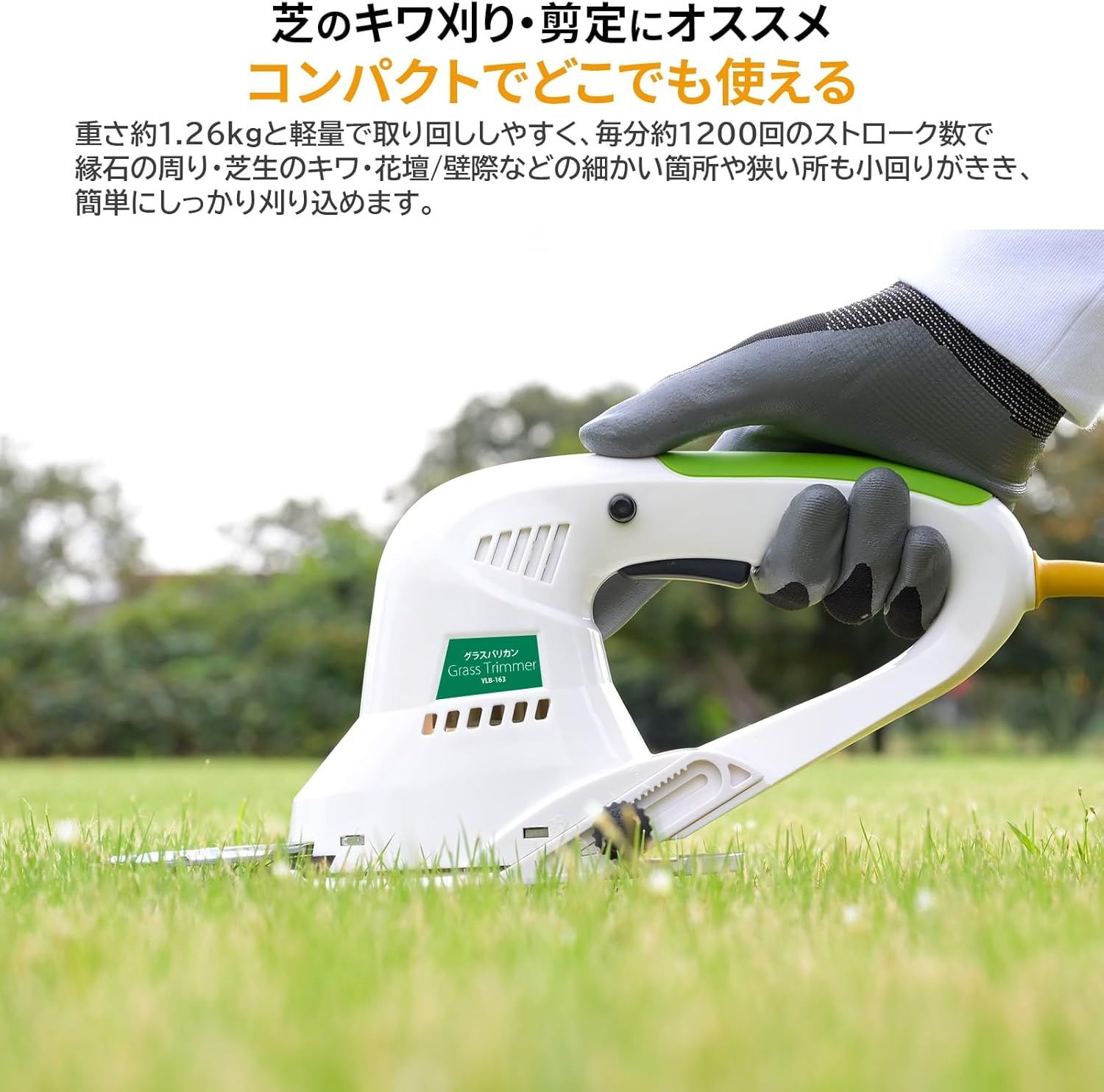 jbbf ビルパン ベロア フィットビート製 5cm幅 サイズXS JBBF公認男子