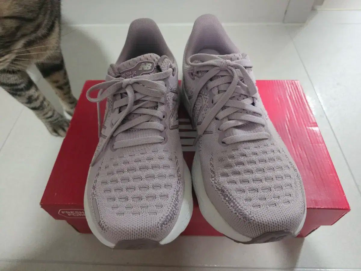 New Balance ニューバランス フレッシュフォーム 1080v12 230 2E wide