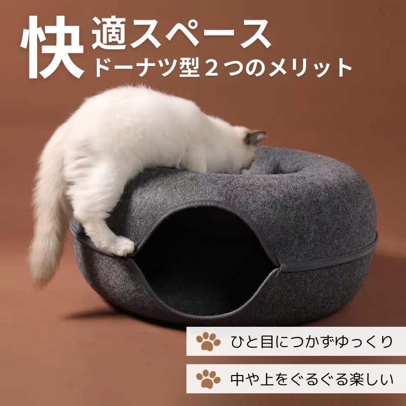 子猫