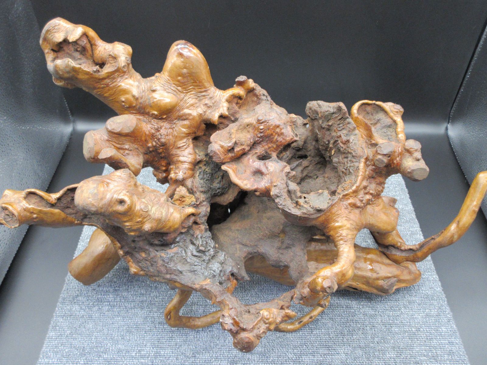 天然木根瘤 自然造形花器 置物 鑑賞木 瘤木 木のオブジェ 根木台 飾台