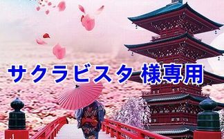 サクラビスタ 様専用
