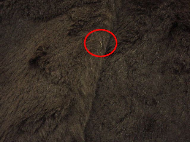 ビューティー-ユース