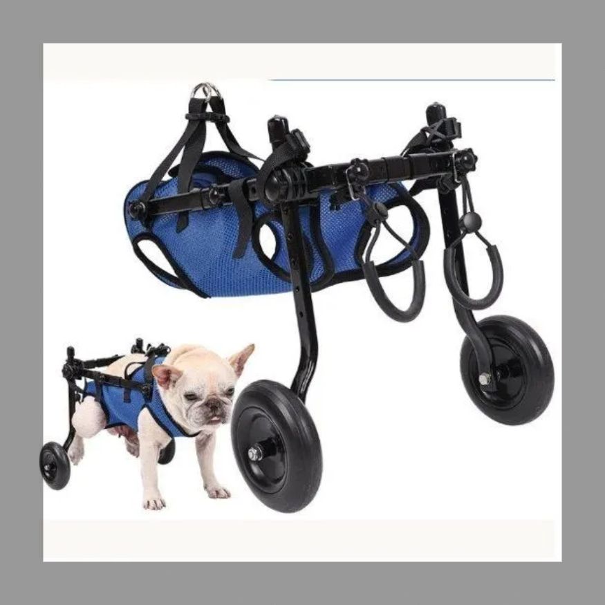犬用車椅子 車いす 小型 中型 軽量 ペット用 2輪 歩行器 リハビリ 介護 室内 屋外 老犬 猫犬兼用 ペット車椅子 ハーネス 犬用車椅子 散歩