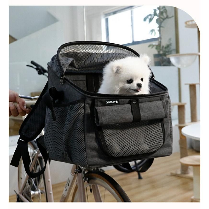 犬