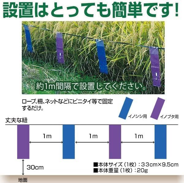 イノシシなぜ逃げるニュー改訂版30枚セット