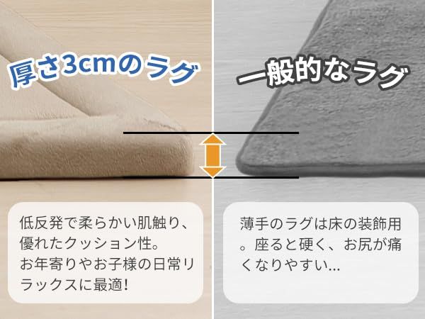 じゅうたん 室内用