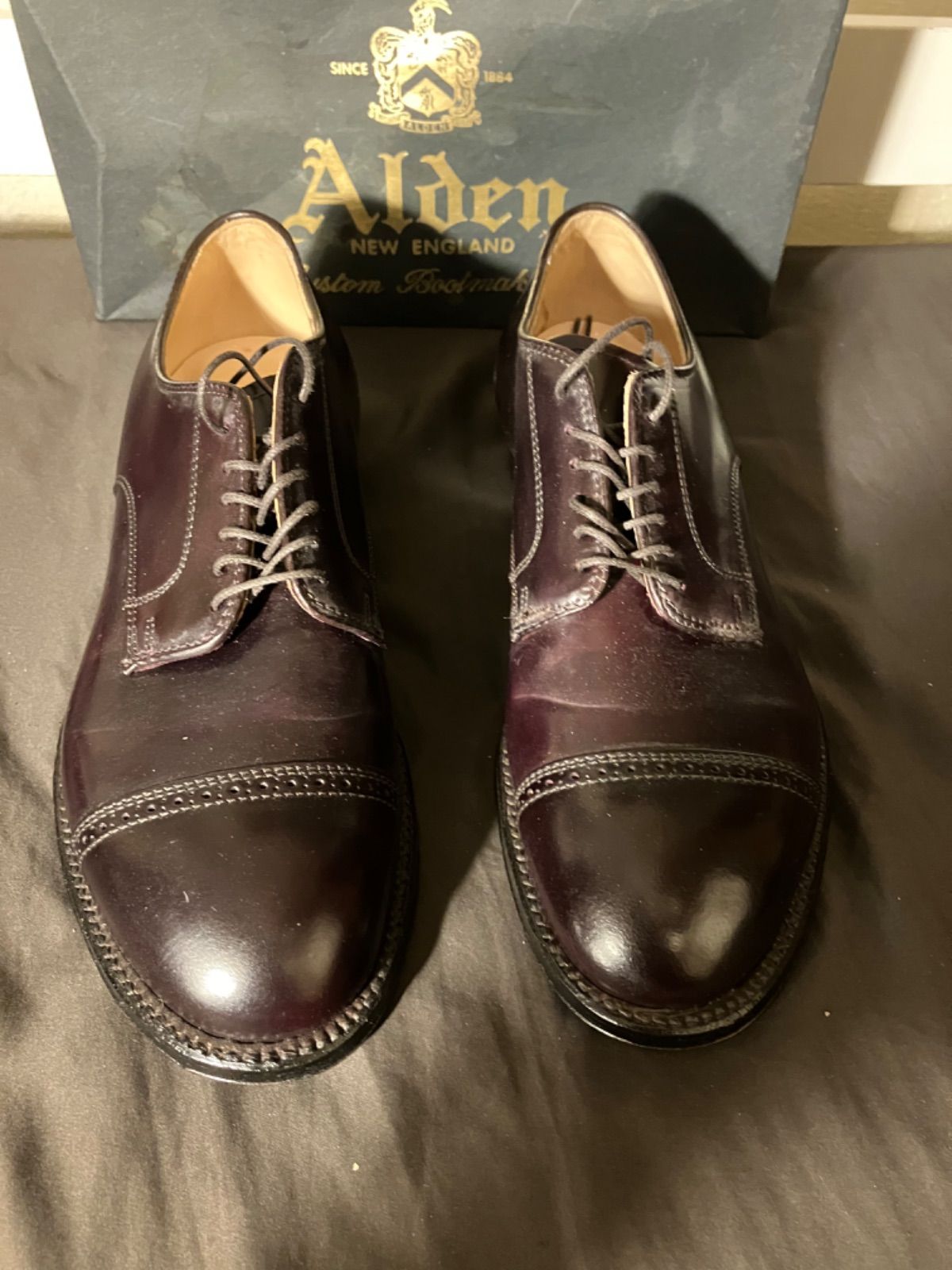 18.26万 完売 コードバン モディファイド ALDEN 新品未使用 #8 56201