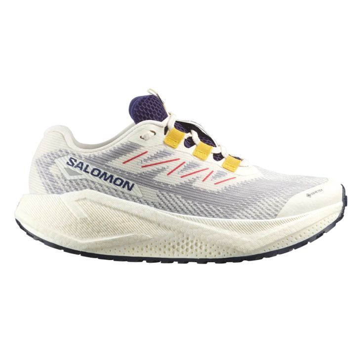 サロモン SALOMON AERO BLAZE 3 GRVL GORE-TEX エアロ ブレイズ グラベル ゴアテックス ランニングシューズ 靴 ウィメンズ レディース 女性 l 陸上 ランニング用品