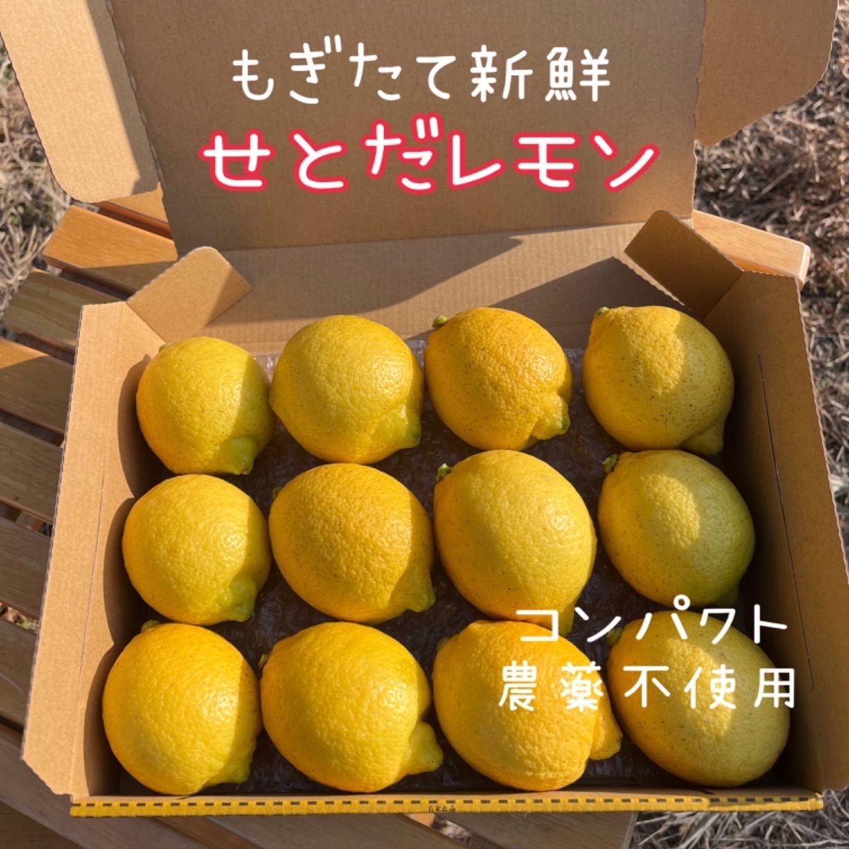 新鮮 摘みたて国産レモン(箱込1.2kg)1 - 果物