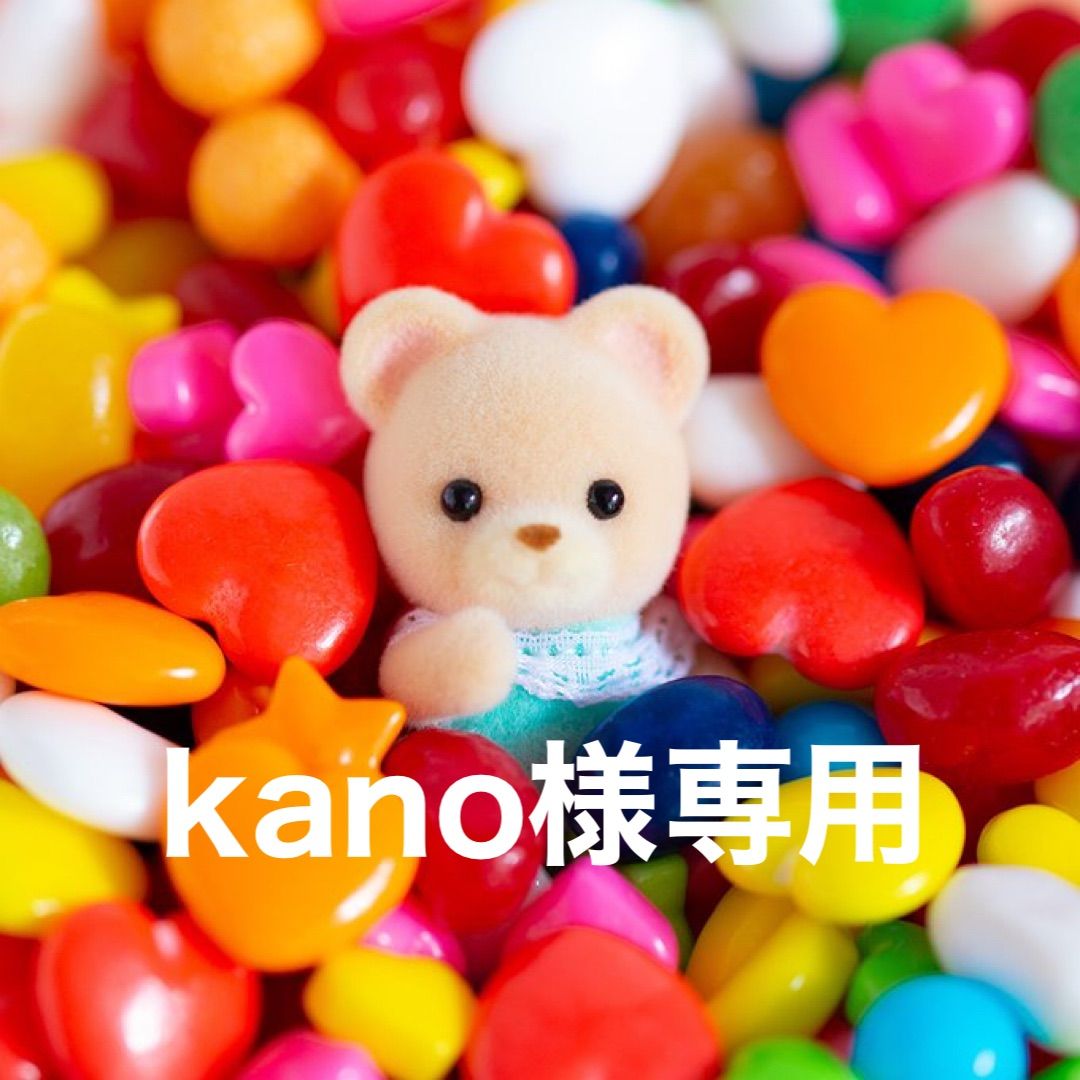 ◎ kano様専用 ◎ じぶんまくら チケット - カードショップ「くまの子