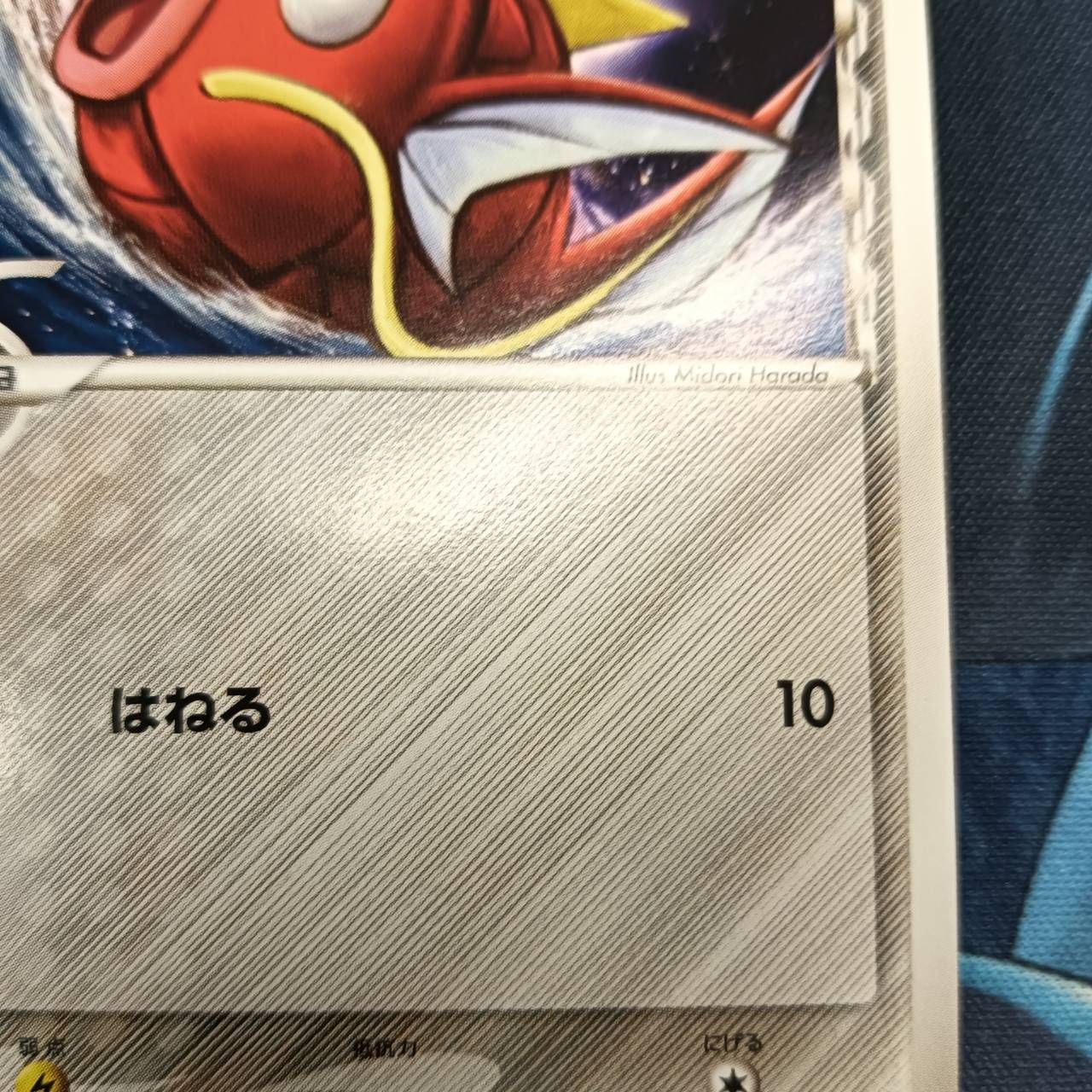 ポケモンカード Bランク コイキング デルタ種 043/052 ホロンの