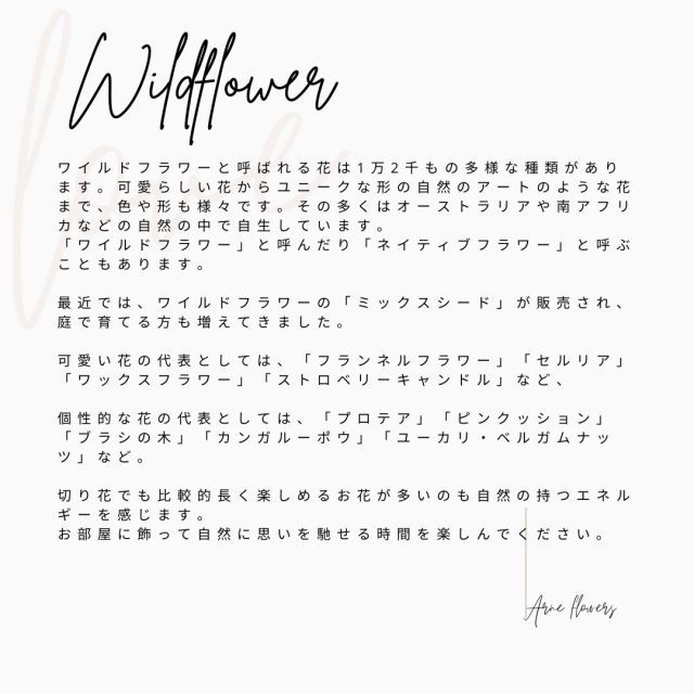 発表会 お見舞い