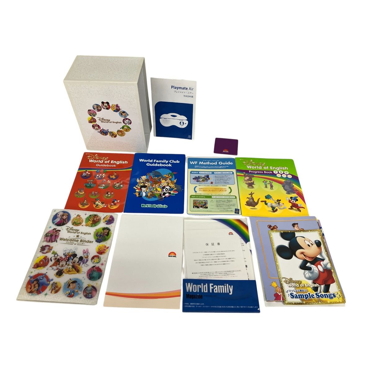DWE ディズニー英語システム ワールドファミリー 2019-2021年頃