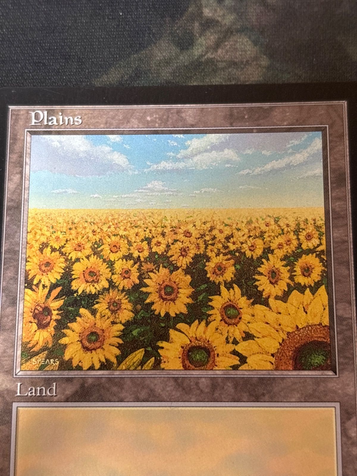Plains/平地 APACランド ひまわり APAC)Plains(日本 ひまわり畑)(97年)/平地 | 神話レア・レア
