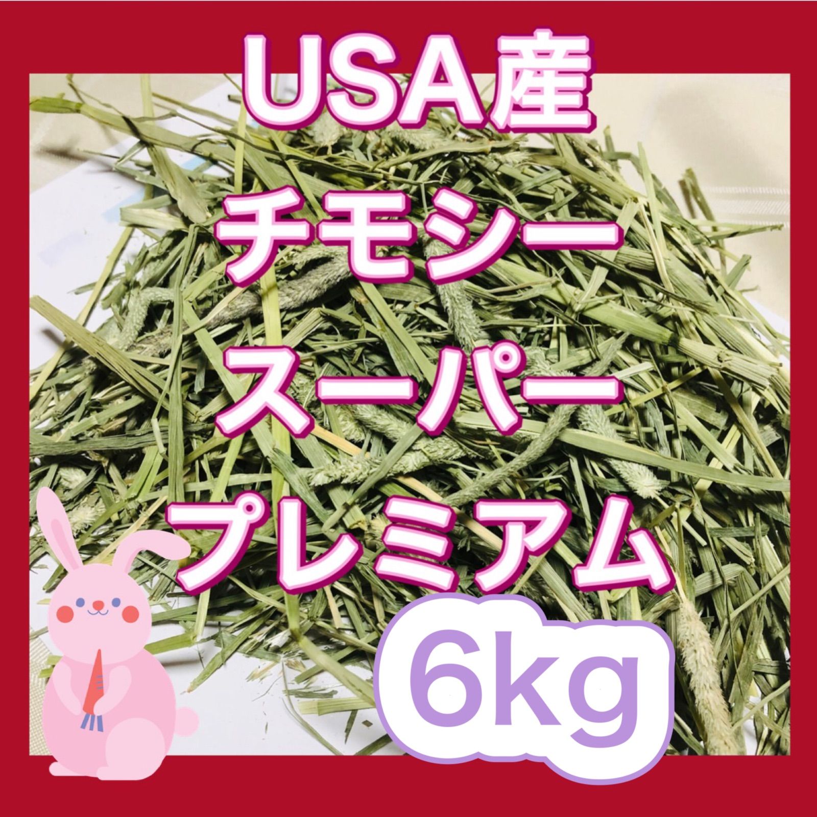 ギフト】 牧草 チモシー シングルプレス 約4kg×5個 約20kg アメリカ産 スーパープレミアムチモシー 小動物 エサ 敷材 床 送料無料  www.ohap.ac.th