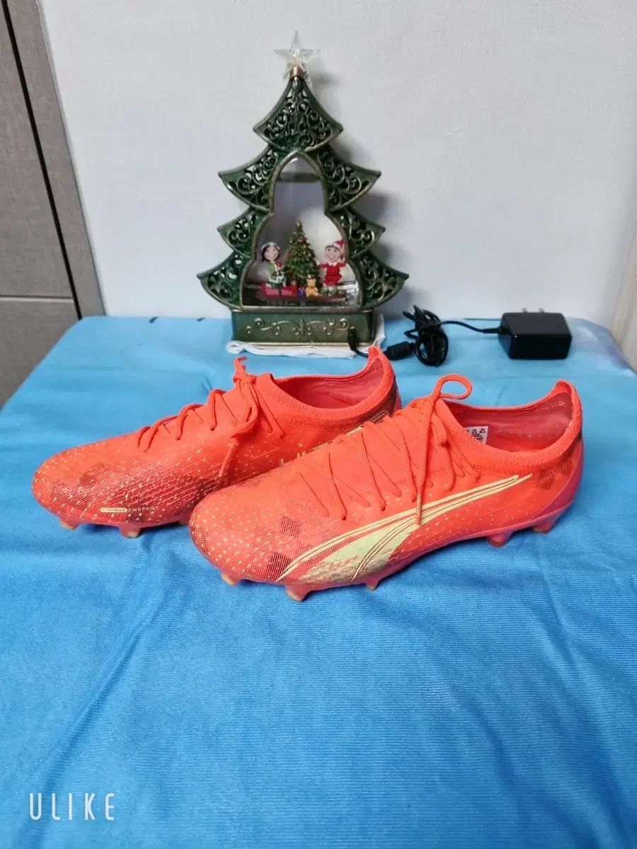 貴重品】 ED50 クリスマスケーキ さめほし クリスマスケーキ2022】高級