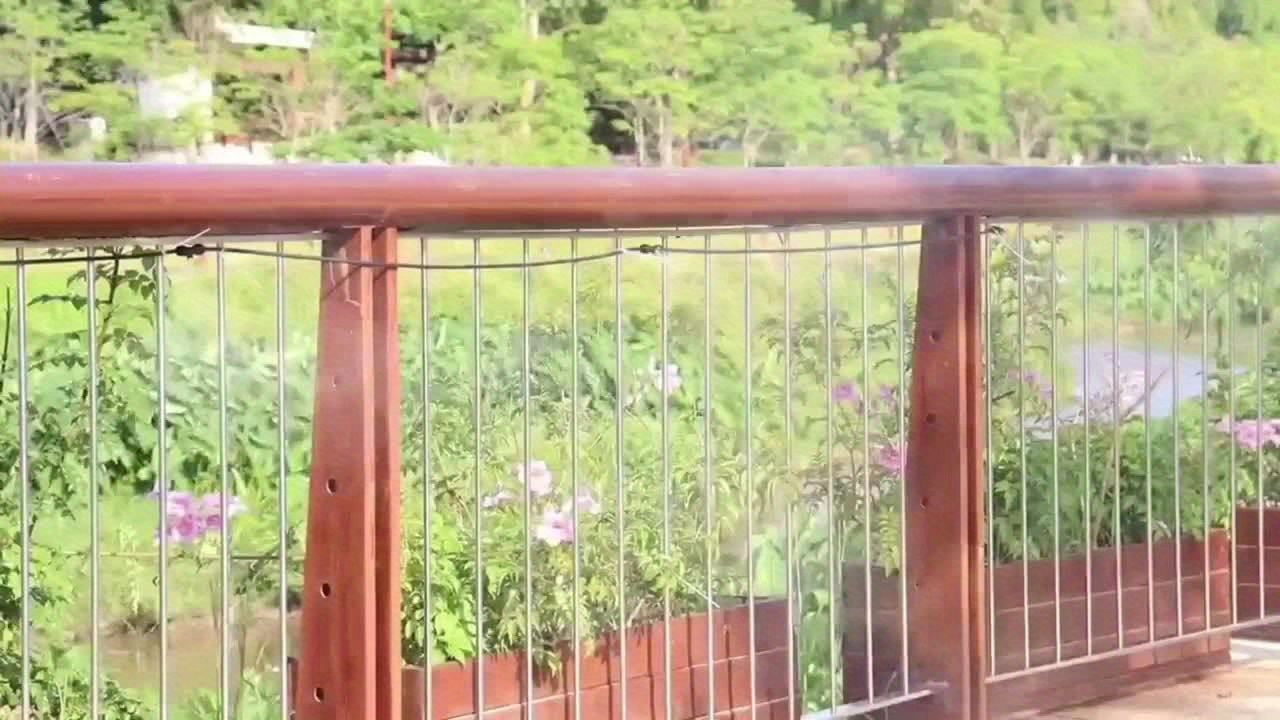 温室 裏庭