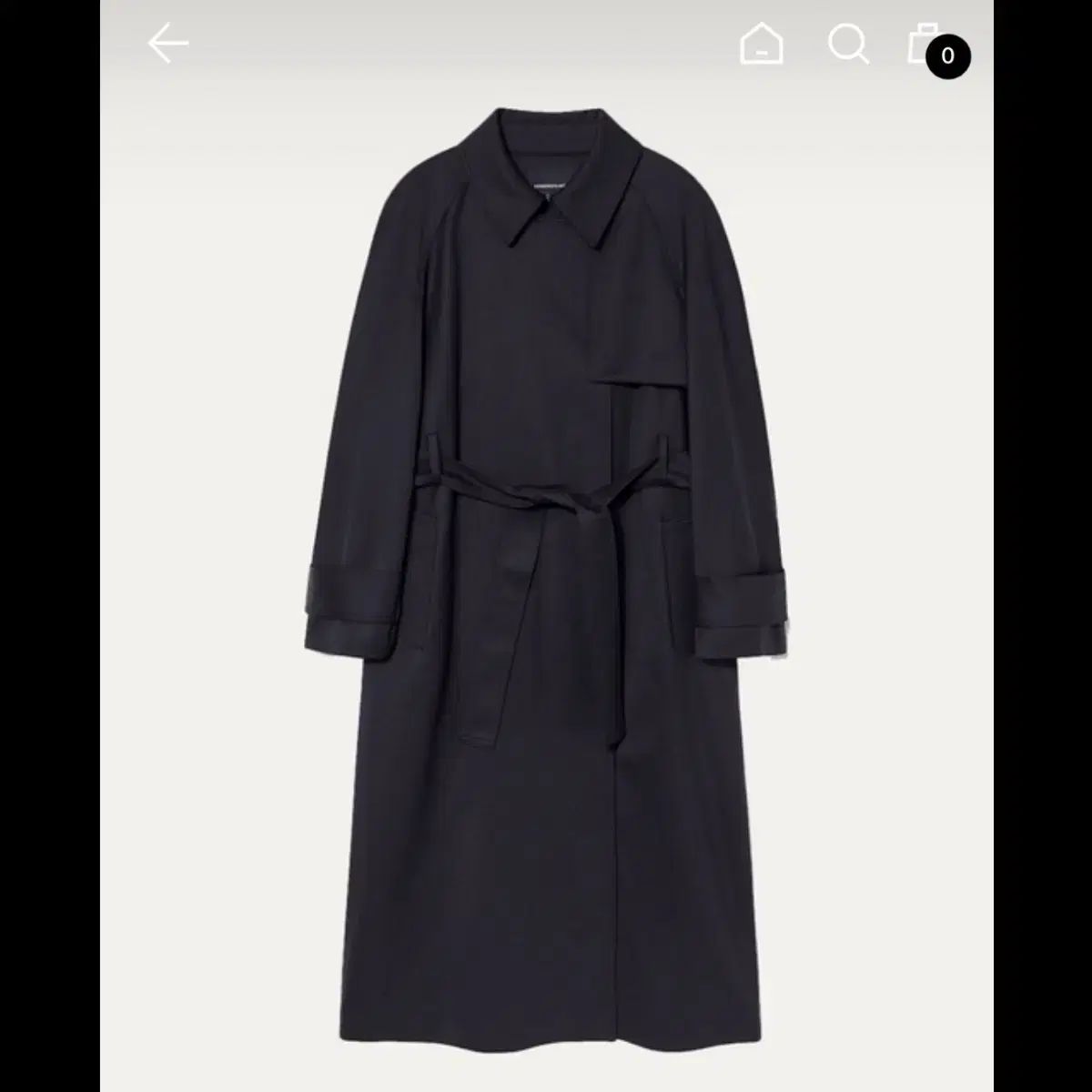 キンダーサルモン シンプル