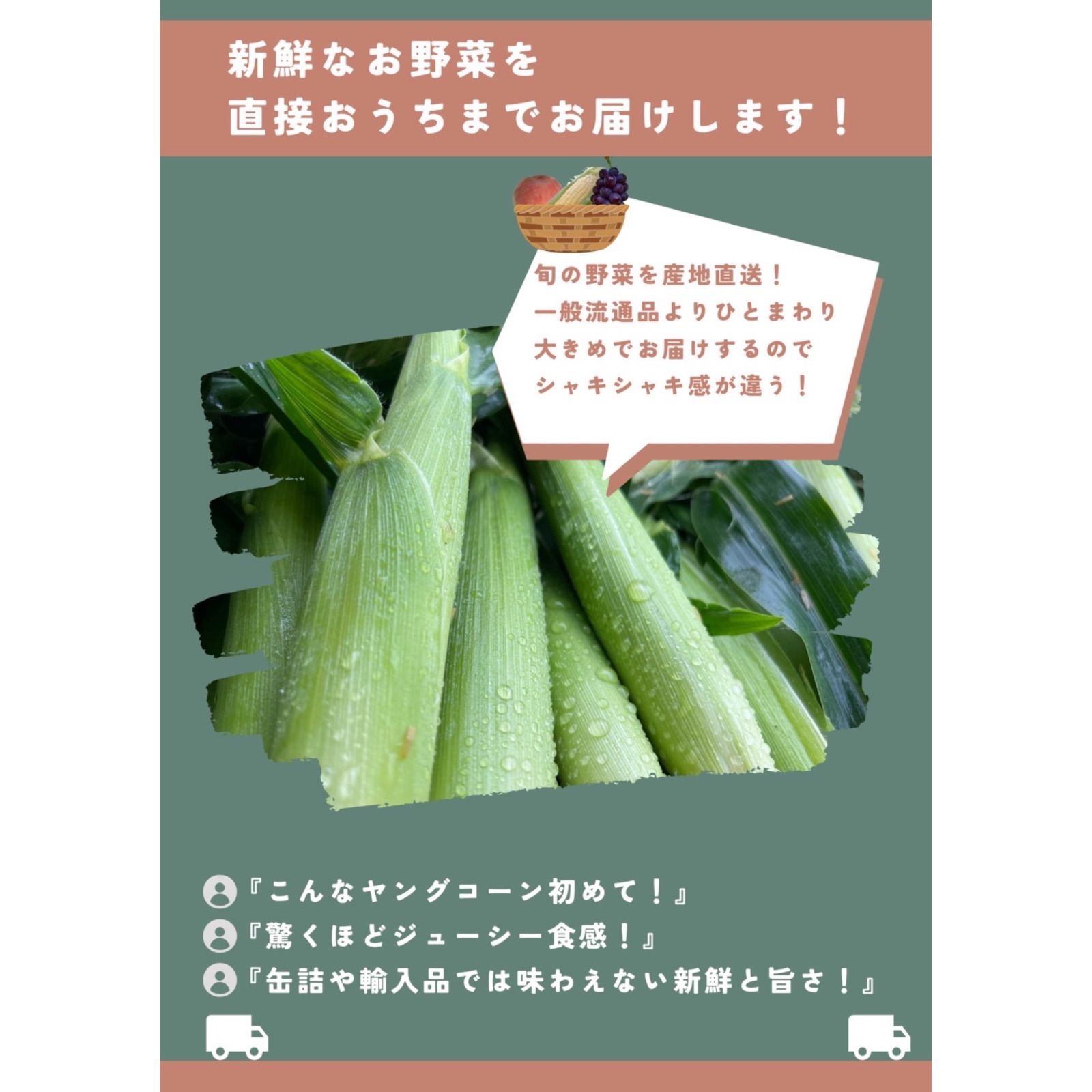 朝採り