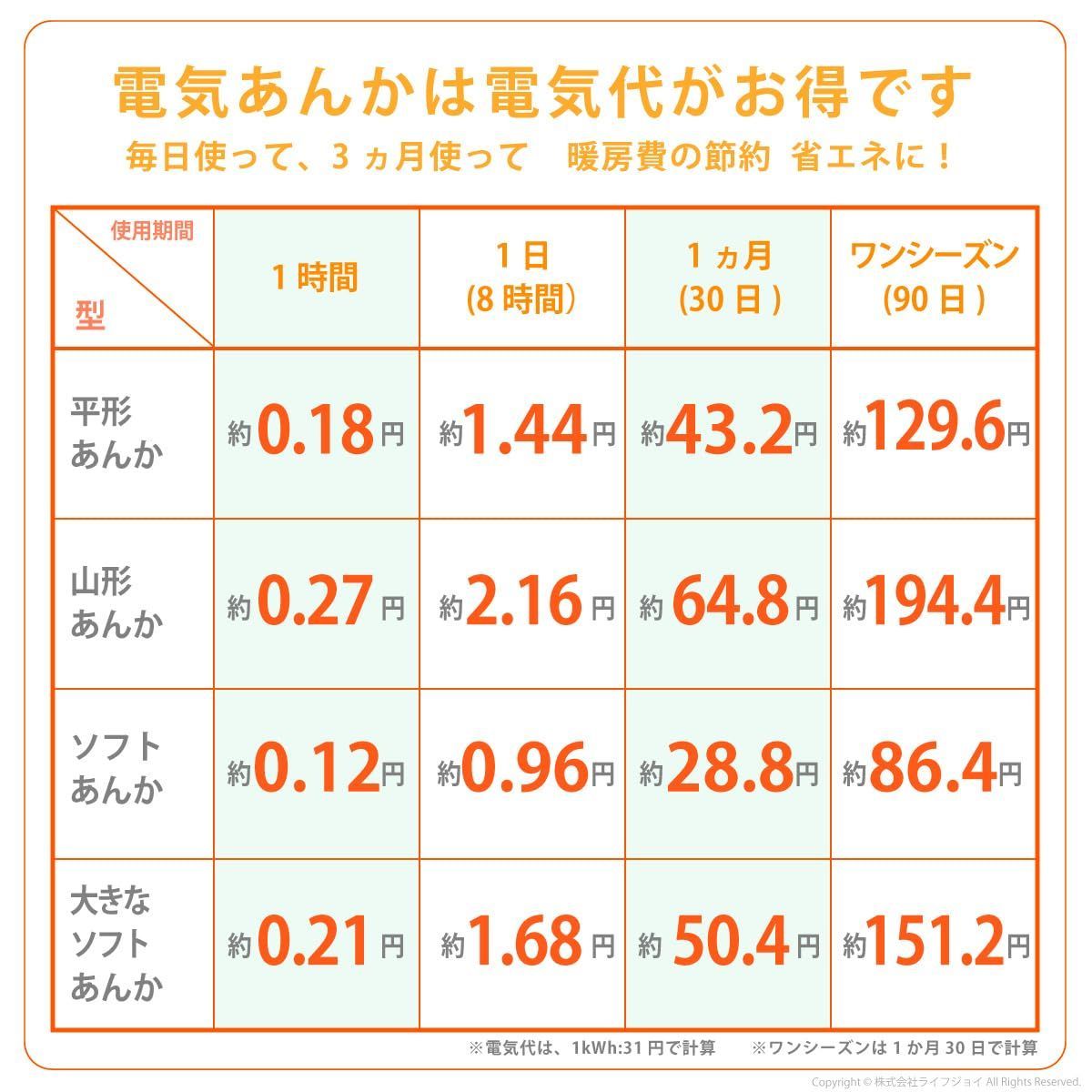 人気商品】大判 電気あんか ソフト 省エネ お湯いらず 電気湯たんぽ