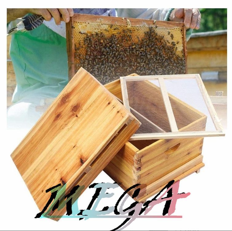 あや 5階 蜜蜂巣箱 ミツバチ 巣箱 杉材養蜂箱キット 焼彩仕上 ワックスを