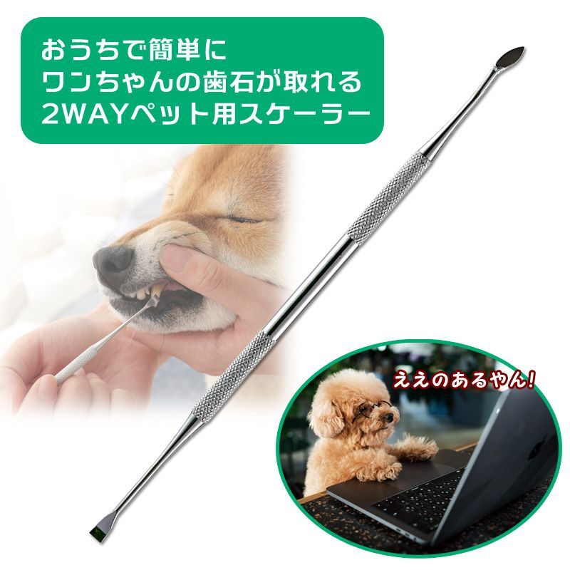 犬 歯石取り 器具 ペット用 スケーラー ハンドスケーラー スケラー 自宅いぬ用猫用ネコ老犬老猫 デンタルケア用品 ヘルスケア デンタルヘルス 口腔ケア虫歯予防歯磨き歯周病歯髄炎安全歯石とり歯石除去お手入れ7歳10歳12歳13歳14歳15歳★2