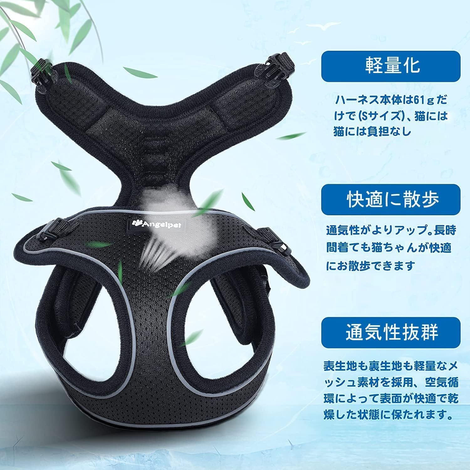 小型犬 子犬
