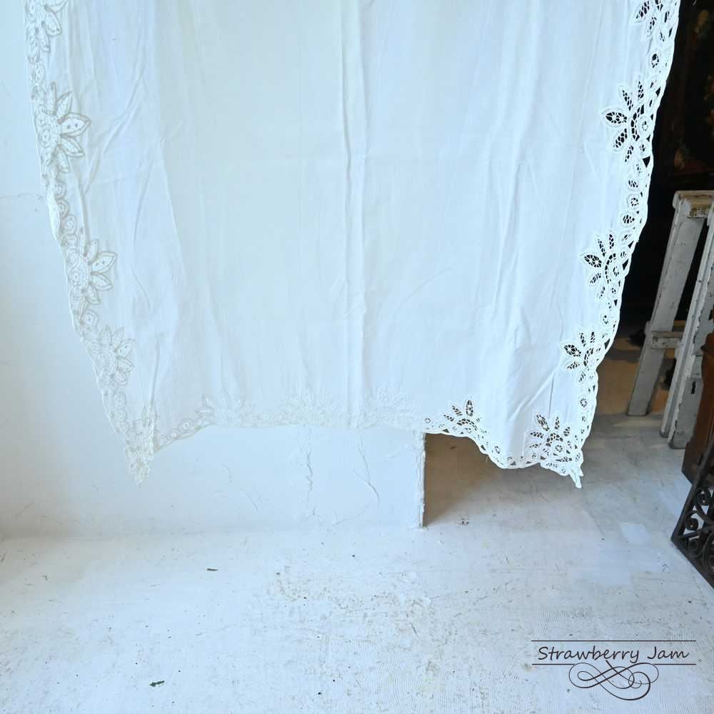 コットン フランス