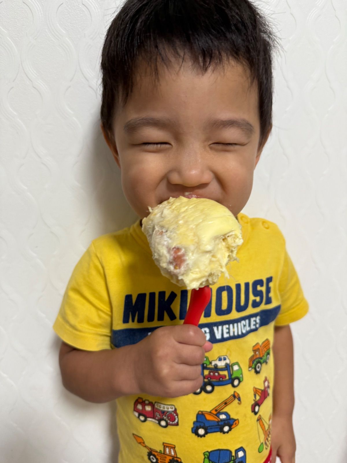 クール便発送❣️2パック❣️冷凍モントン種ドリアン・Sầu Riêng Đông Lạnh・Frozen Dorian  榴莲  大人気　クリーミーな食感　100円引きクーポン配布中　果物アイス　　北海道沖縄の方は追加料金が必要です。