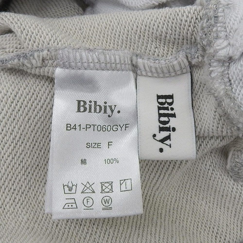 B41-PT060GYF F