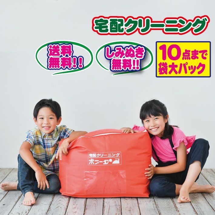 宅配クリーニング １０点バック大サイズ １０点迄OK