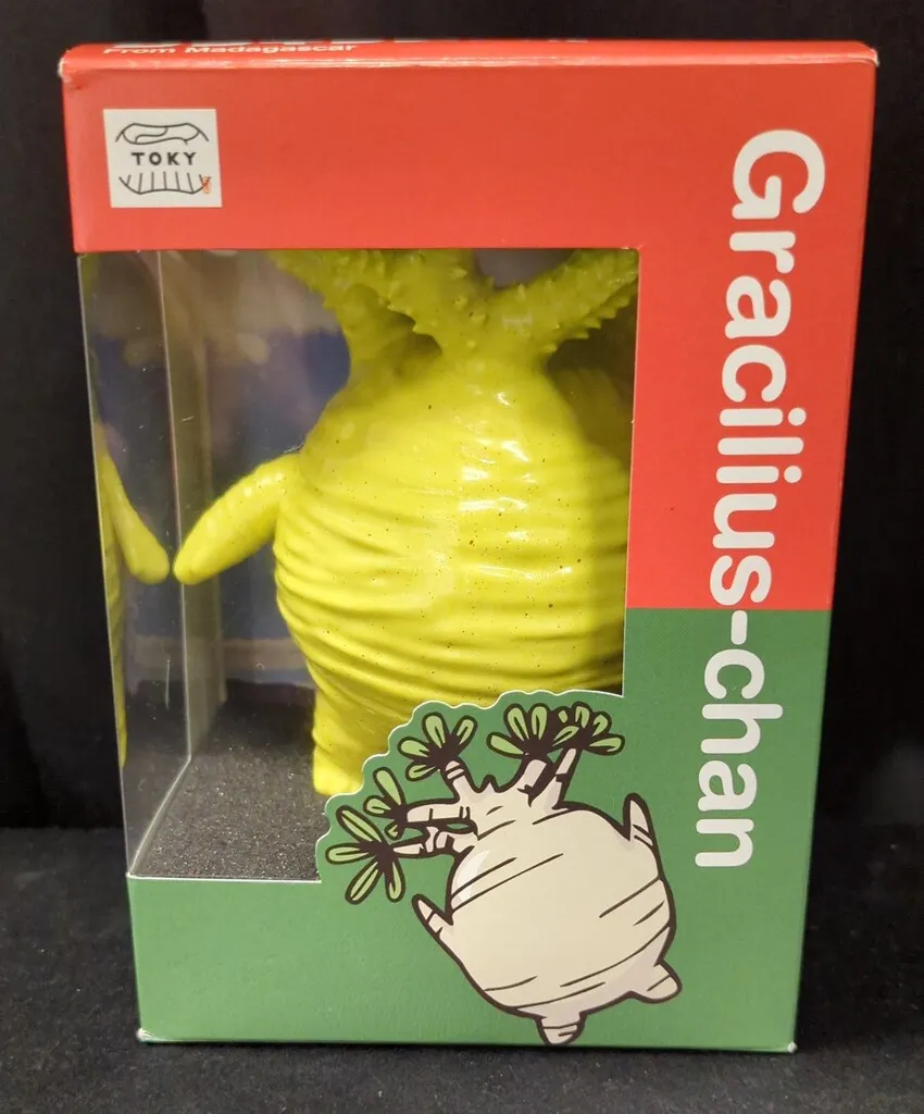 2025年最新】グラキリスちゃんの人気アイテム - メルカリ