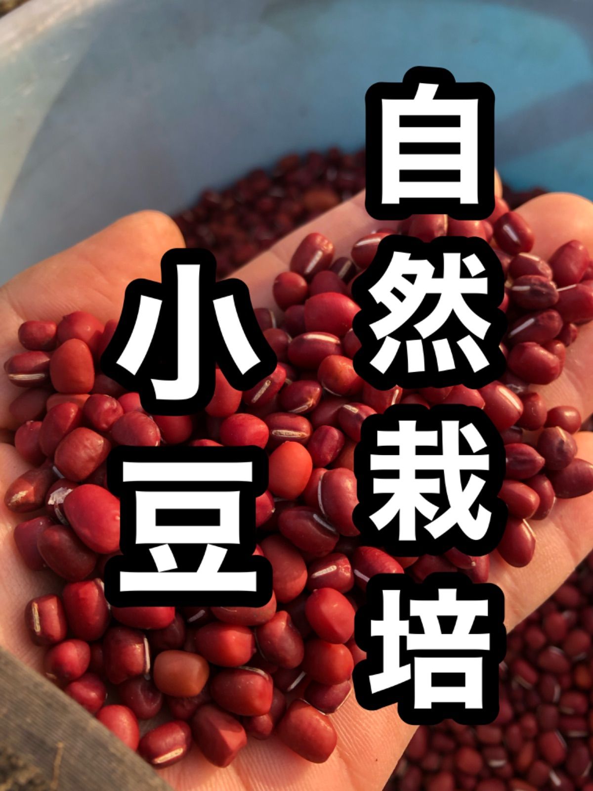 インテリア・生活道具 【nemu様】9/16 静岡 ご自宅着 卓上バルーン